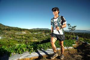 BIB: 
                            <button type="button" onclick="openModal(19118063)" class="btn btn-primary btn-sm float-right btn-popup" data-toggle="modal" data-target=".modal-high-quality">
                        <i class="fas fa-shopping-cart"></i> Add to Cart
                    </button>
                                            <button type="button" onclick="isThisMe(19118063, true)" class="btn btn-success btn-sm float-right btn-popup btn-isme hidden" data-toggle="tooltip" data-placement="bottom" title="นี่คือรูปของคุณใช่ไหม คลิกที่นี่เพื่อเอาเข้าอัลบั้ม">
                        <i class="fas fa-plus"></i> Add to album
                    </button>
                    <button type="button" onclick="isThisMe(19118063, false)" class="btn btn-warning btn-sm float-right btn-popup btn-isnotme hidden">
                        <i class="fas fa-ban"></i> Remove from album
                    </button>